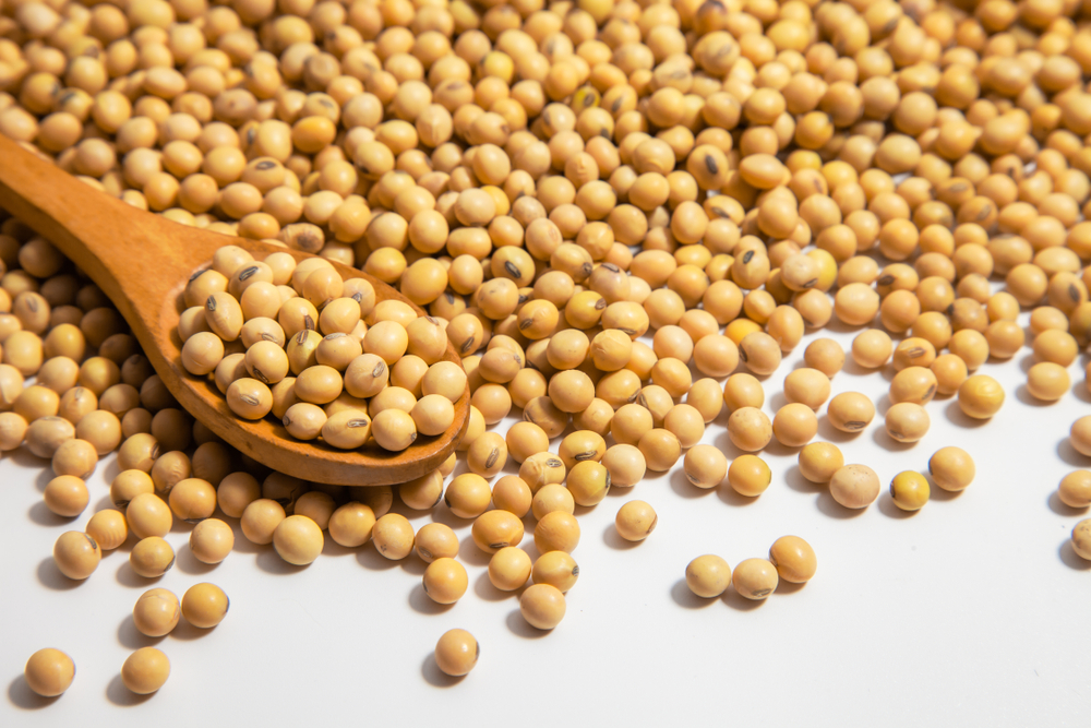 エクオールを作れない人の特徴｜作れるのは2人に1人？自宅で検査できる？