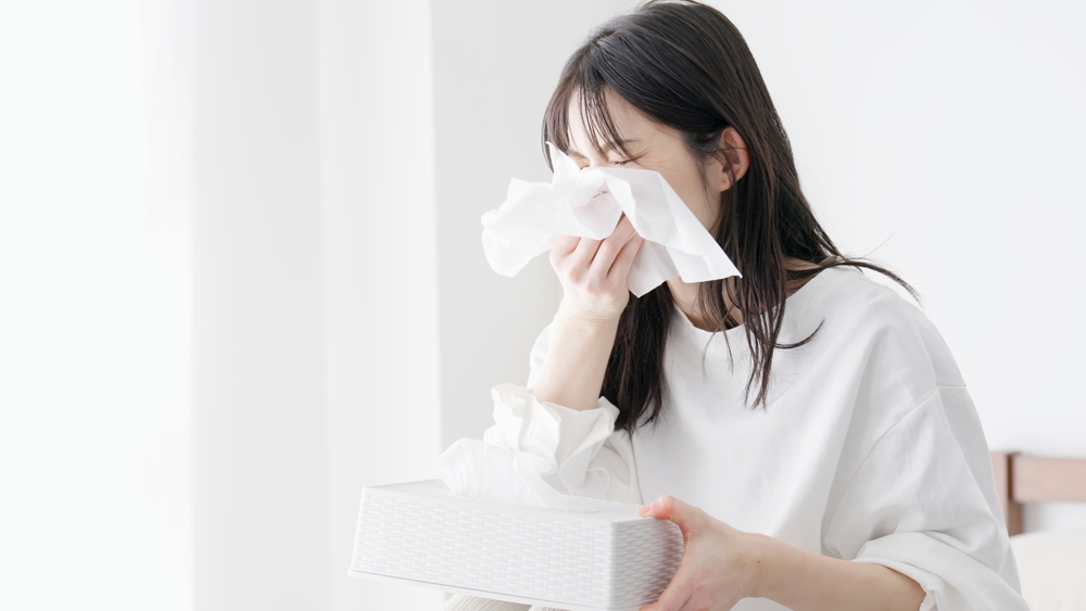 スギ花粉の後も鼻水が止まらない？ヒノキ花粉症の症状と対処法